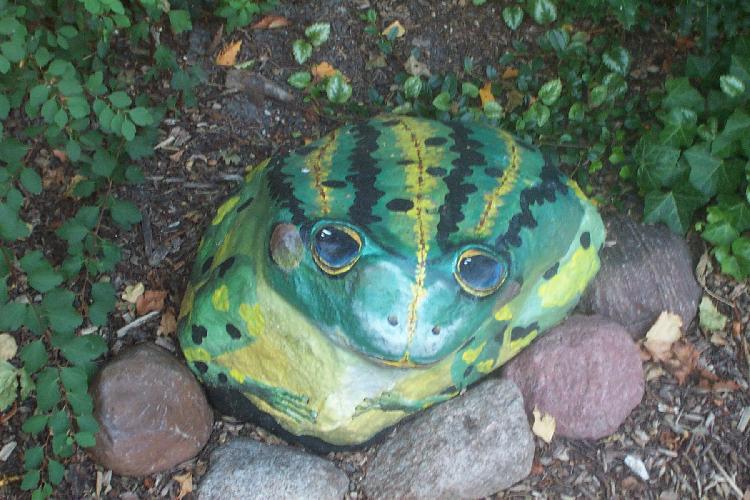 Frog Rock again.jpg