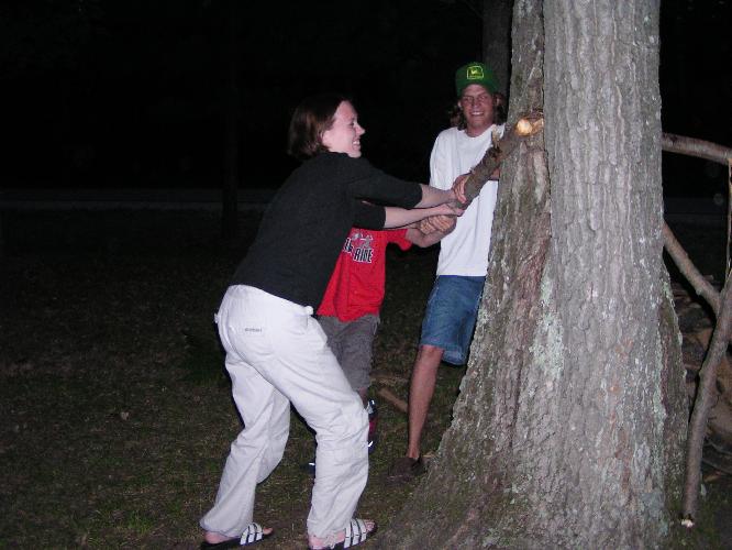 Log breaking tree.JPG