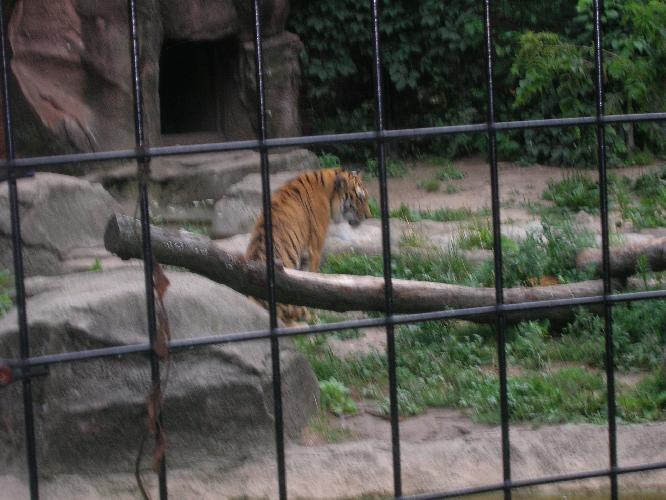 DSCN0424.JPG