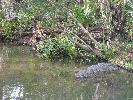 IMG_9878.JPG