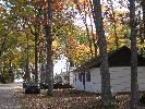 cabin with leaves.jpg