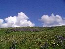 05-02-05 001_edited.jpg
