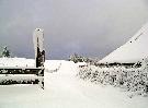 03-14-06 006_edited.jpg