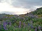 04-30-08 034_edited.jpg
