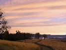 11-24-05 011_edited.jpg