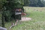 IMG_0339.JPG