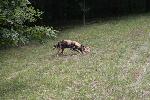 IMG_0348.JPG
