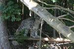 IMG_0751.JPG