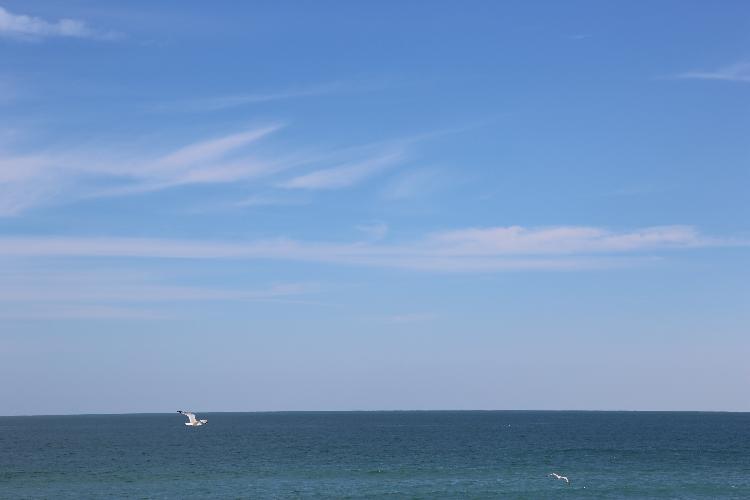 778C0240.JPG