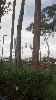 IMG_20140309_110732_012.jpg
