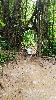 IMG_20190708_142042_1.jpg