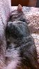 IMG_20150403_222434_913.jpg